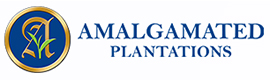 Amalgamated Plantation (P) Ltd.